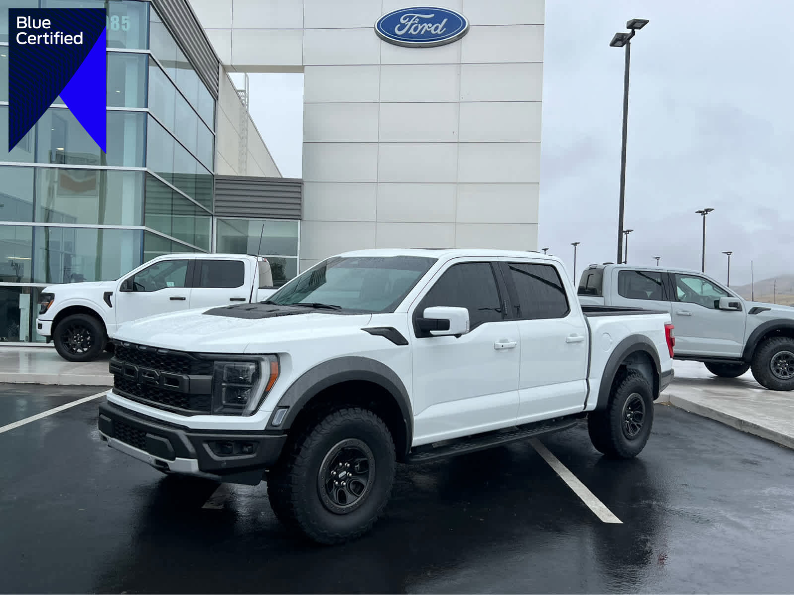 Certified 2023 Ford F150 Raptor w/ Raptor Carbon Fiber Package