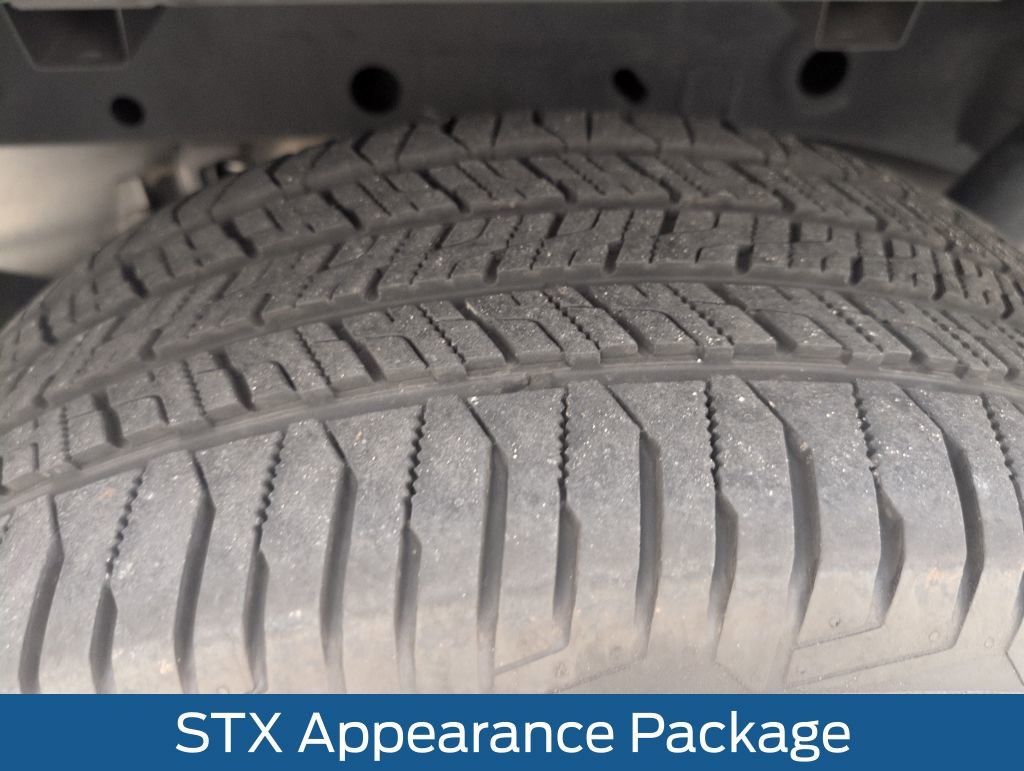 Certified 2019 Ford F150 XL w/ Equipment Group 101A Mid image 22