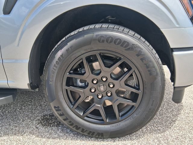Certified 2025 Ford F150 STX w/ STX Black Appearance Package RWD image 12