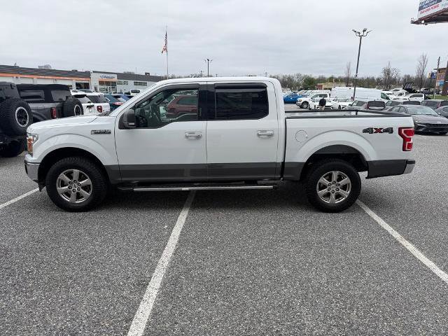 Certified 2019 Ford F150 XLT w/ Equipment Group 302A Luxury image 2