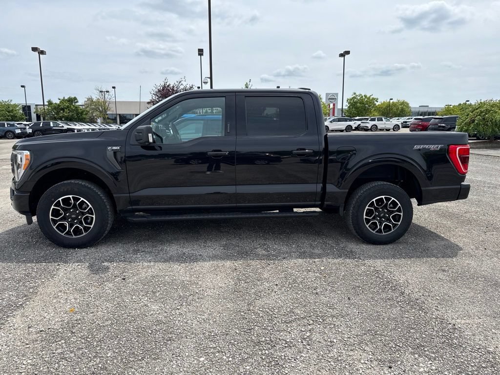 Certified 2023 Ford F150 XLT w/ Equipment Group 302A High AWD/4WD image 6
