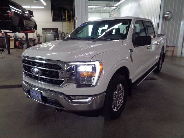 Certified 2023 Ford F150 XLT w/ Equipment Group 302A High AWD/4WD image 6