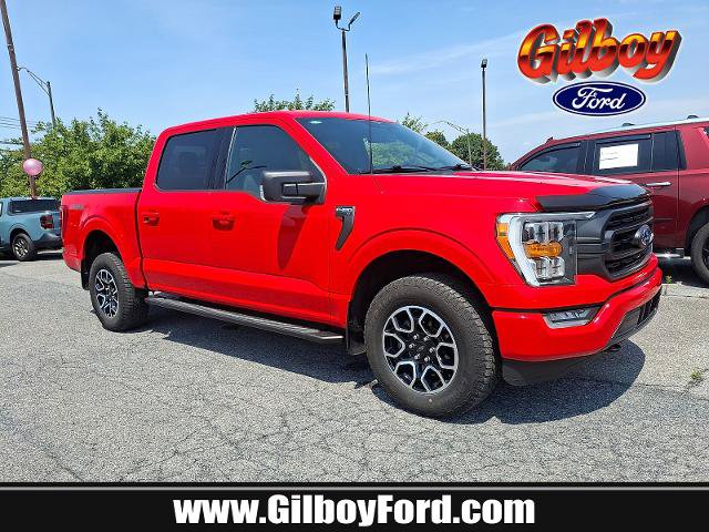 Certified 2023 Ford F150 XLT w/ Equipment Group 302A High AWD/4WD image 1