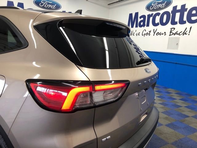 Certified 2020 Ford Escape SE Sport image 10