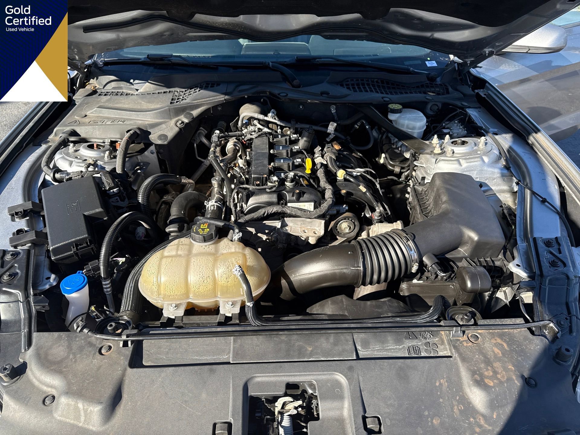 Certified 2022 Ford Mustang Premium image 25