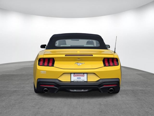 Certified 2024 Ford Mustang Premium RWD image 6