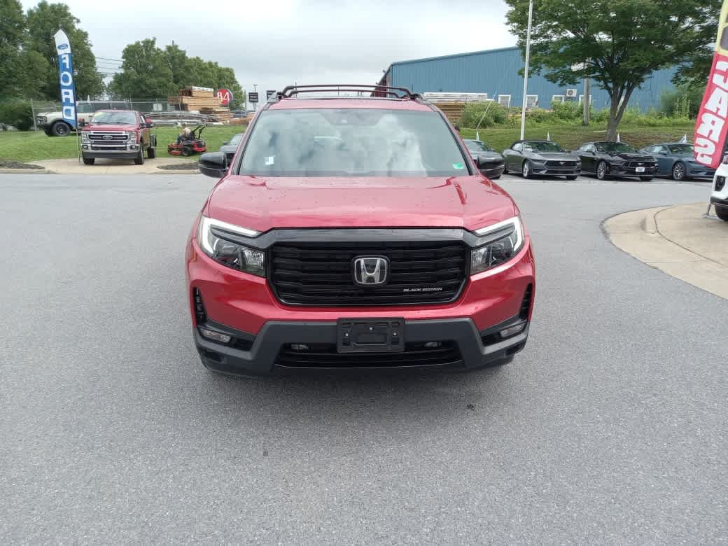 Used 2024 Honda Passport Black Edition image 2