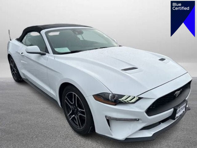 Certified 2022 Ford Mustang Premium image 1