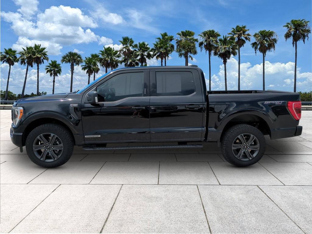 Certified 2023 Ford F150 XLT w/ Equipment Group 302A High AWD/4WD image 4