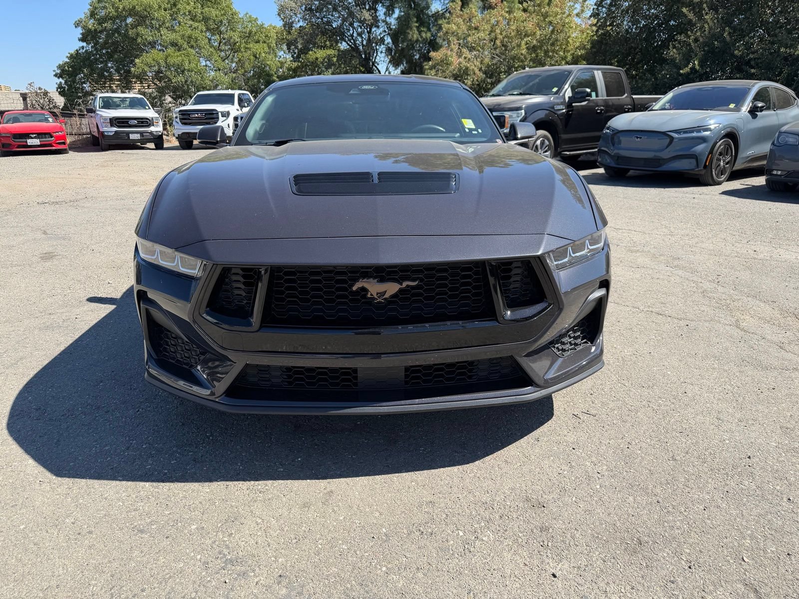 Certified 2024 Ford Mustang GT Premium RWD image 8