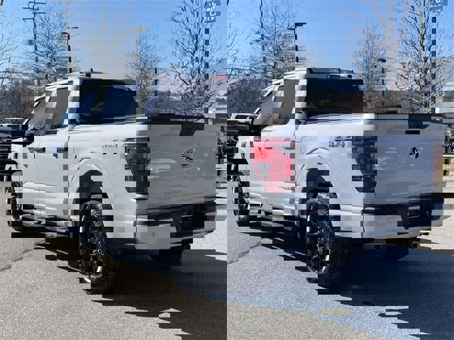 Certified 2025 Ford F150 STX image 3