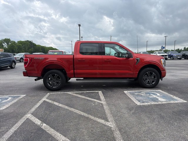 Certified 2023 Ford F150 XLT w/ Equipment Group 302A High AWD/4WD image 4