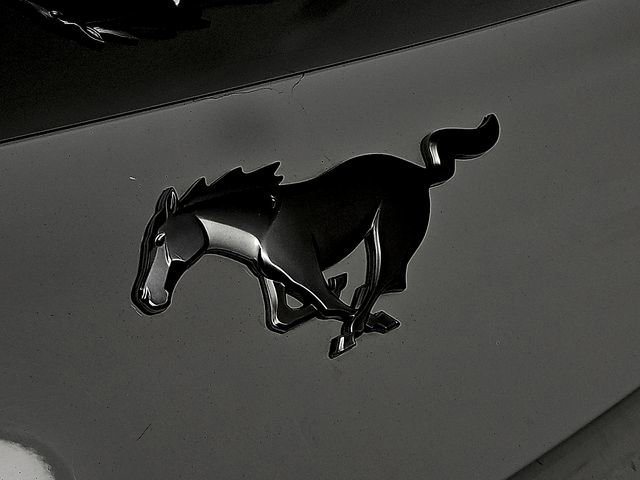 Certified 2024 Ford Mustang Premium RWD image 30