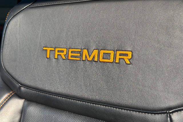Certified 2025 Ford Expedition Tremor AWD/4WD image 26