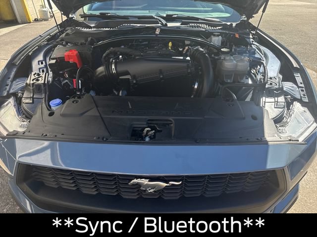 Certified 2025 Ford Mustang Premium RWD image 14