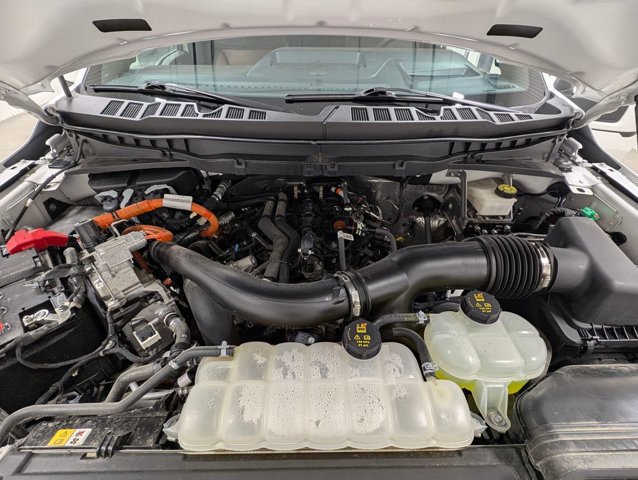 Certified 2024 Ford F150 King Ranch image 11