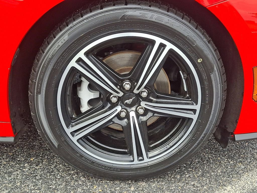 Certified 2024 Ford Mustang Premium RWD image 8