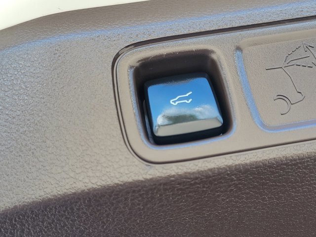 Certified 2024 Ford Expedition Max King Ranch image 15