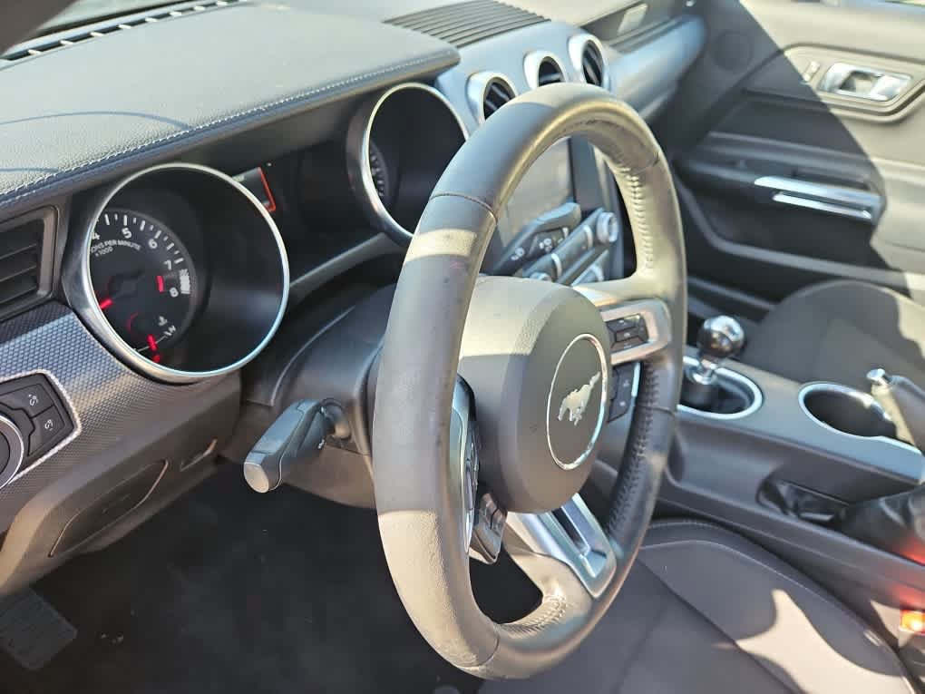 Certified 2019 Ford Mustang GT w/ Equipment Group 301A RWD image 10