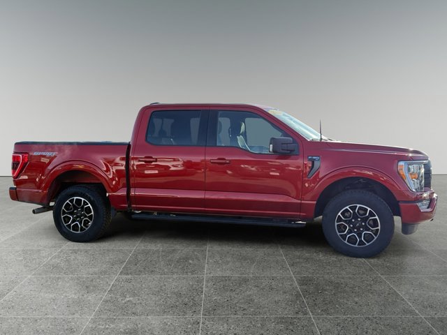 Certified 2023 Ford F150 XLT w/ Equipment Group 302A High image 6
