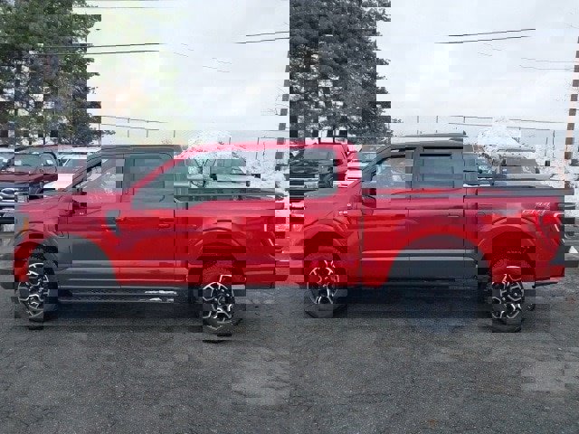 Certified 2022 Ford F150 XLT w/ Equipment Group 301A Mid image 5