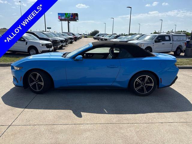 Certified 2024 Ford Mustang Premium RWD image 3