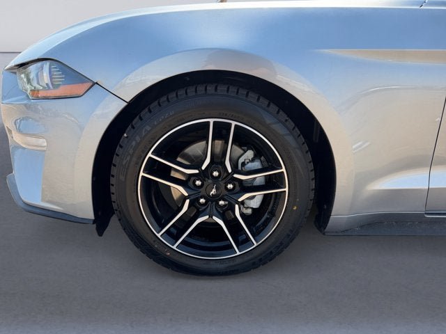 Certified 2022 Ford Mustang Premium RWD image 14