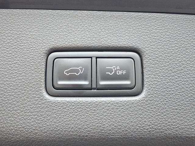 Used 2024 Kia Carnival SX image 30