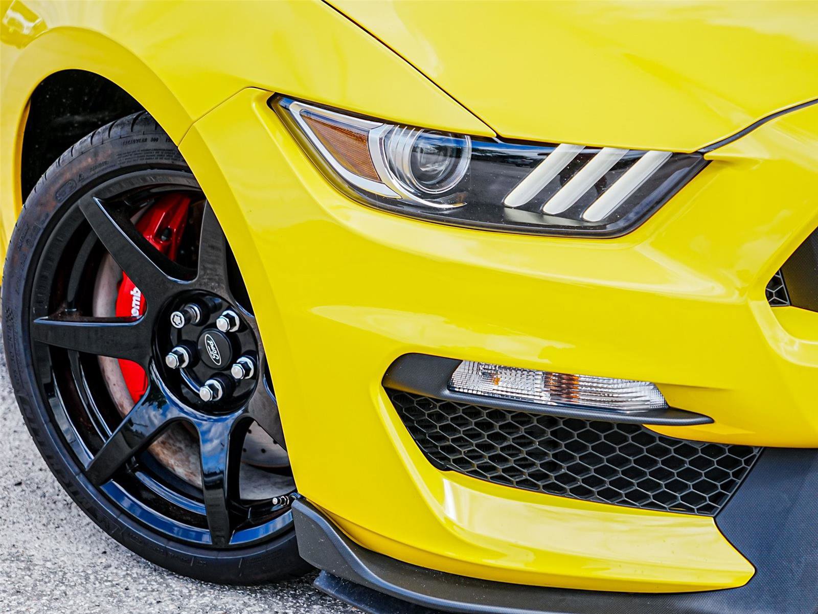 Certified 2017 Ford Mustang Shelby GT350R w/ GT350R Equipment Group 920A RWD image 3