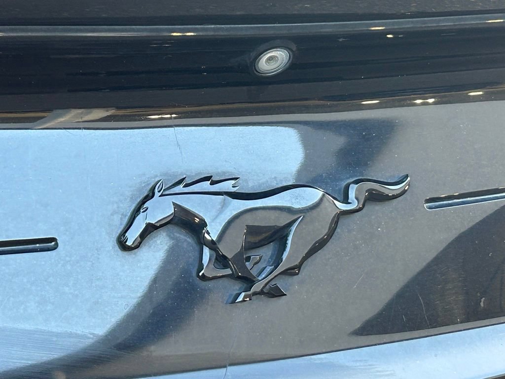 Certified 2019 Ford Mustang Premium w/ Equipment Group 201A RWD image 20