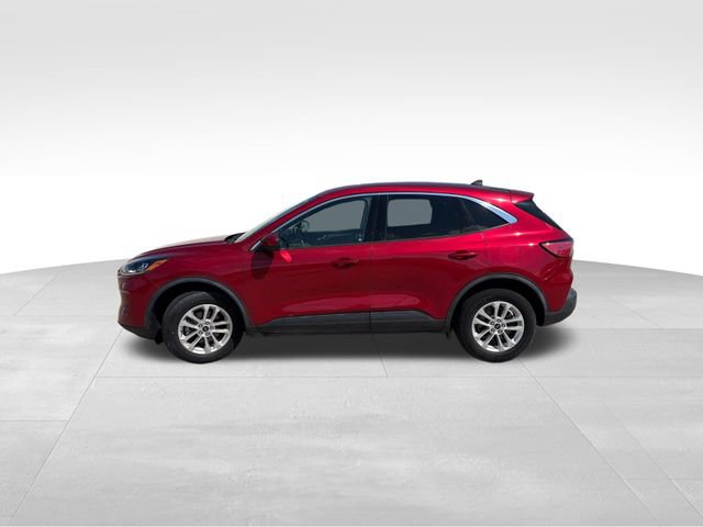 Certified 2021 Ford Escape SE w/ Cold Weather Package AWD/4WD image 3