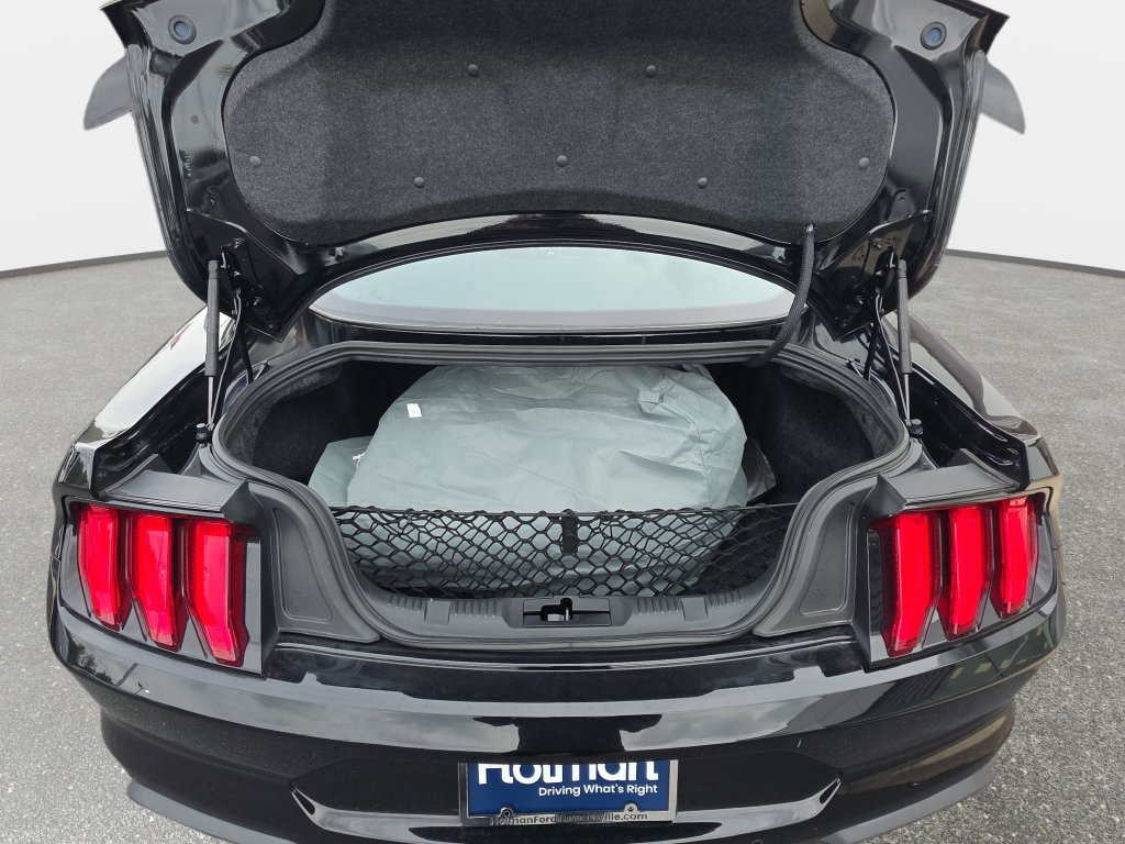 Certified 2021 Ford Mustang GT w/ Equipment Group 301A RWD image 10