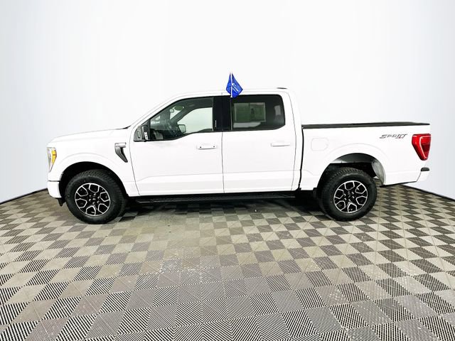 Certified 2023 Ford F150 XLT w/ Equipment Group 302A High AWD/4WD image 8