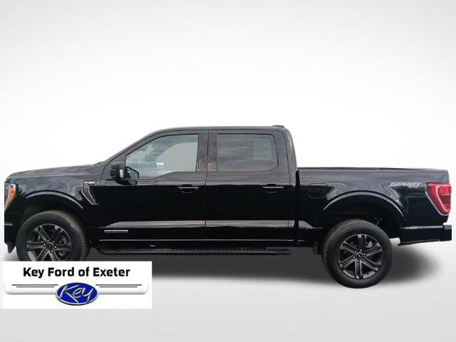 Certified 2023 Ford F150 XLT w/ Equipment Group 302A High AWD/4WD image 3
