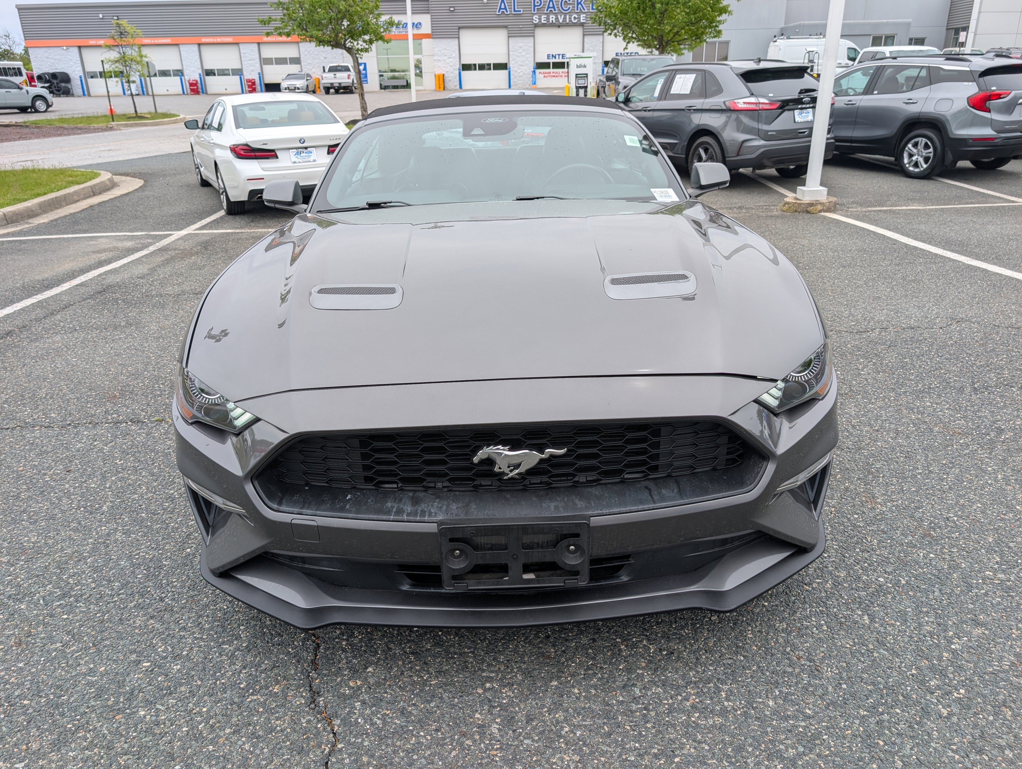 Certified 2023 Ford Mustang Premium RWD image 8