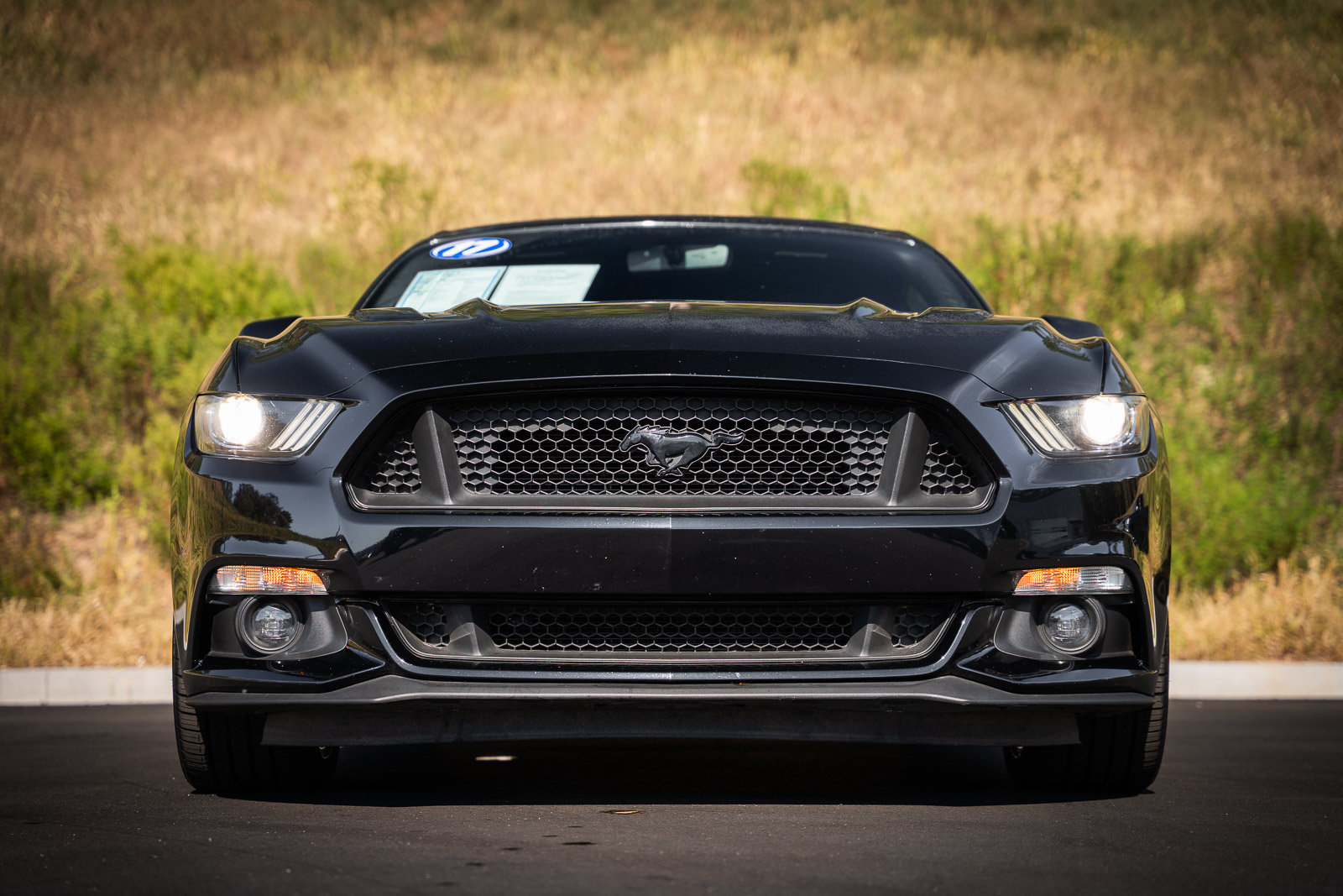 Certified 2017 Ford Mustang GT Premium w/ Equipment Group 401A RWD image 5