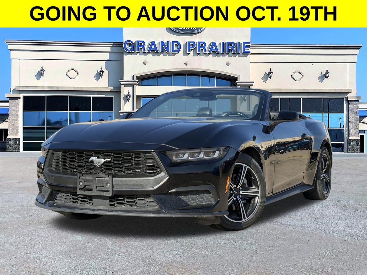 Certified 2024 Ford Mustang Premium