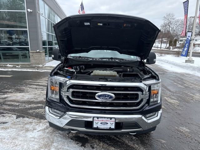 Certified 2021 Ford F150 XLT w/ Equipment Group 302A High image 17