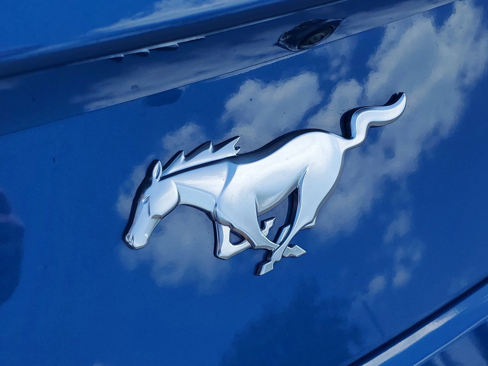 Certified 2024 Ford Mustang Premium RWD image 6