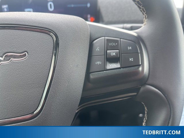 Certified 2025 Ford Mustang Mach-E GT image 31