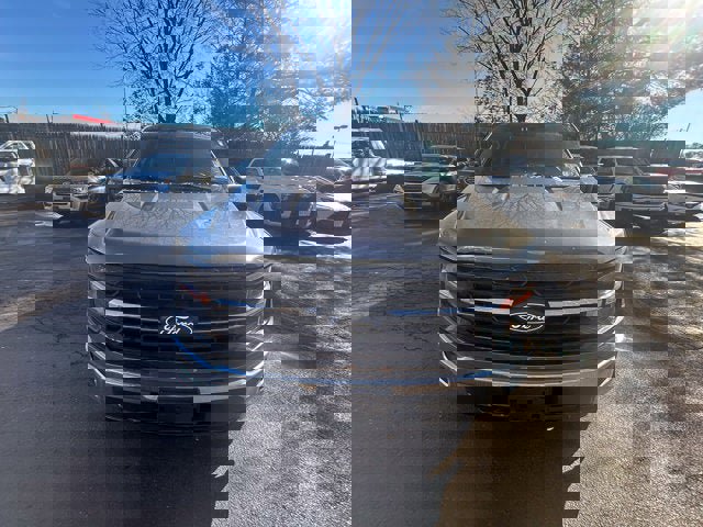 Certified 2025 Ford F150 XLT w/ Equipment Group 301A Standard image 2