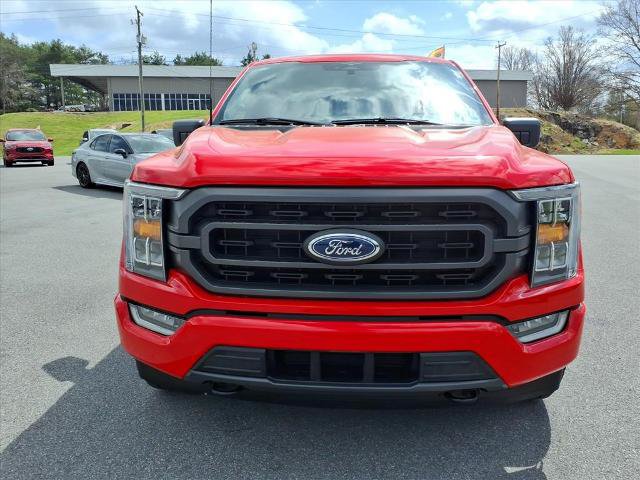 Certified 2023 Ford F150 XLT w/ Equipment Group 302A High AWD/4WD image 6