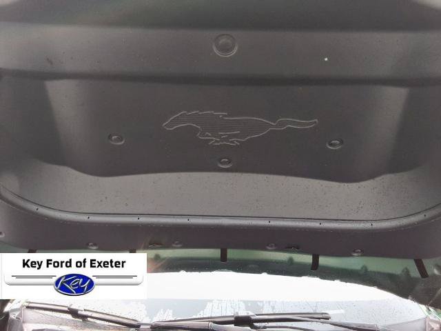 Certified 2025 Ford Mustang Mach-E Premium w/ Sport Appearance Package AWD/4WD image 18