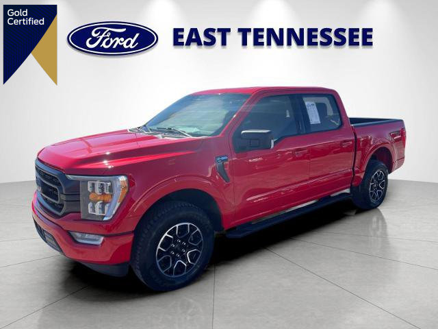 Certified 2023 Ford F150 XLT w/ Equipment Group 302A High image 1