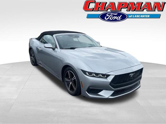 Certified 2024 Ford Mustang Premium RWD image 3