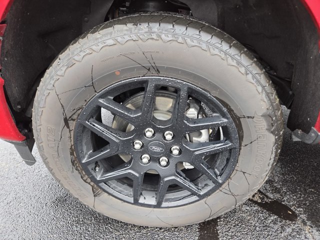 Certified 2024 Ford F150 STX w/ STX Black Appearance Package AWD/4WD image 42