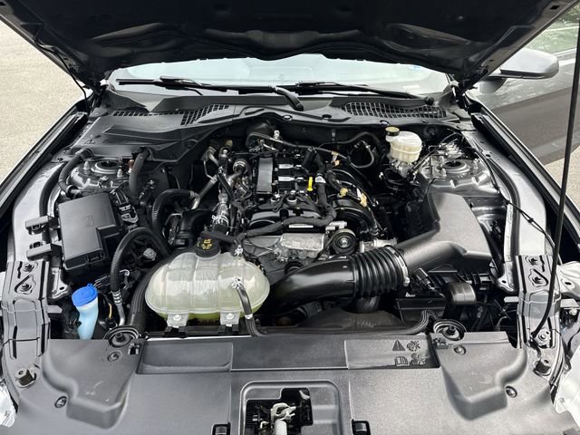 Certified 2023 Ford Mustang Coupe image 24