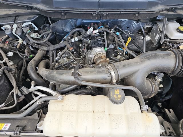Certified 2025 Ford F150 XLT w/ Equipment Group 301A Standard AWD/4WD image 32