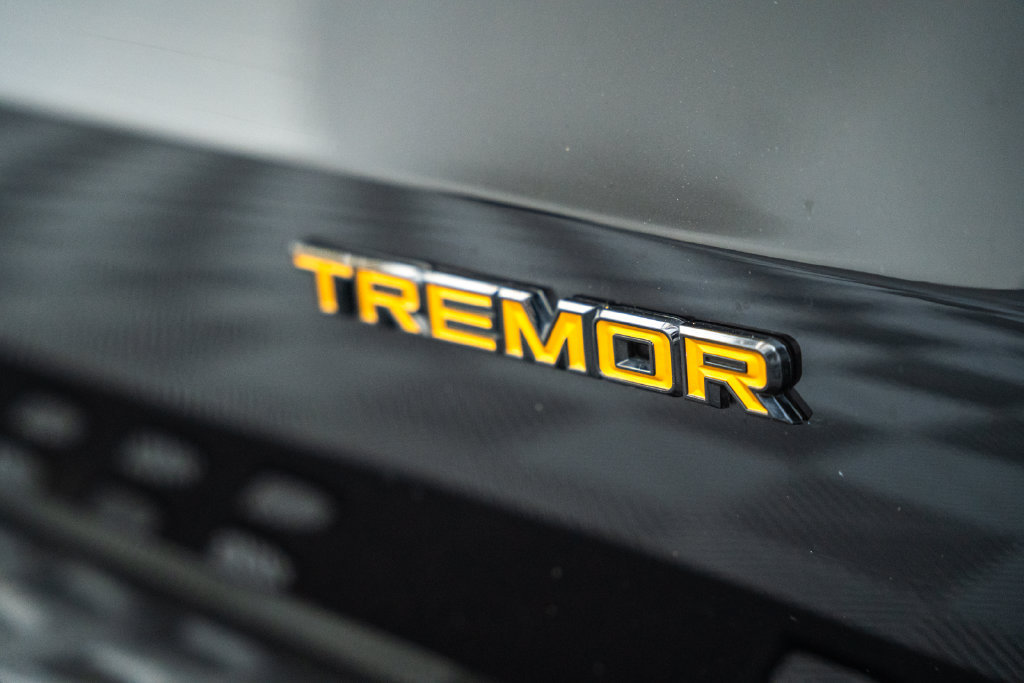 Certified 2025 Ford Expedition Tremor AWD/4WD image 21