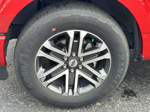 Certified 2023 Ford F150 XL w/ STX Appearance Package RWD image 5